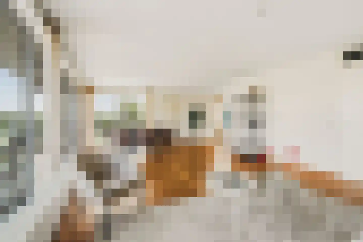 Beatrixlaan 68 Beverwijk thumbnail 5