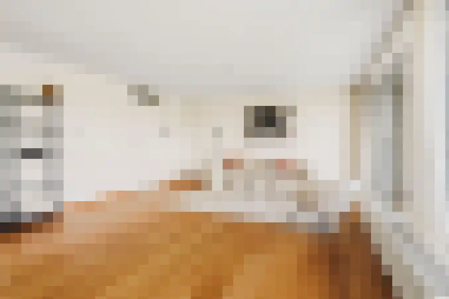 Beatrixlaan 68 Beverwijk thumbnail 6