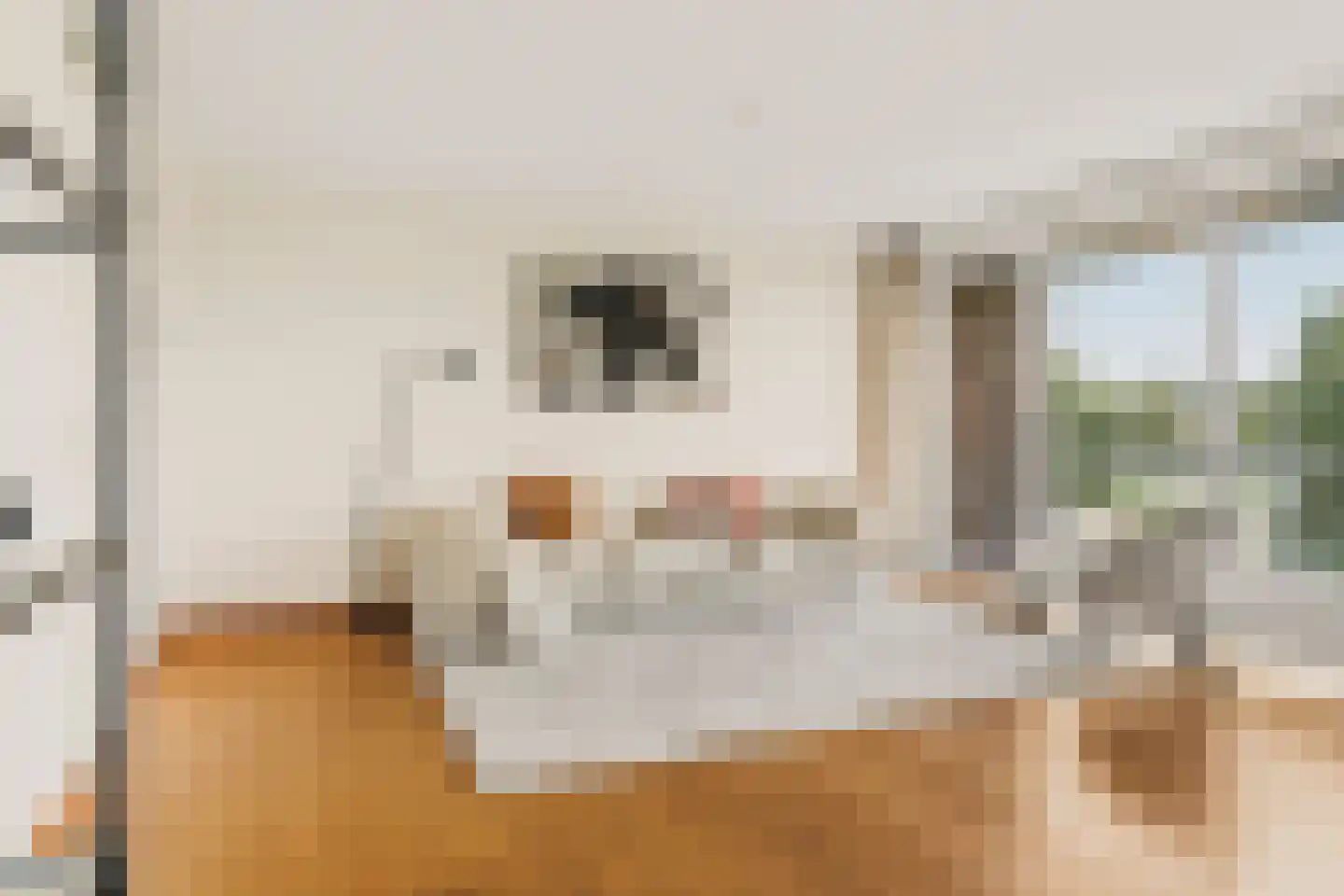 Beatrixlaan 68 Beverwijk thumbnail 7