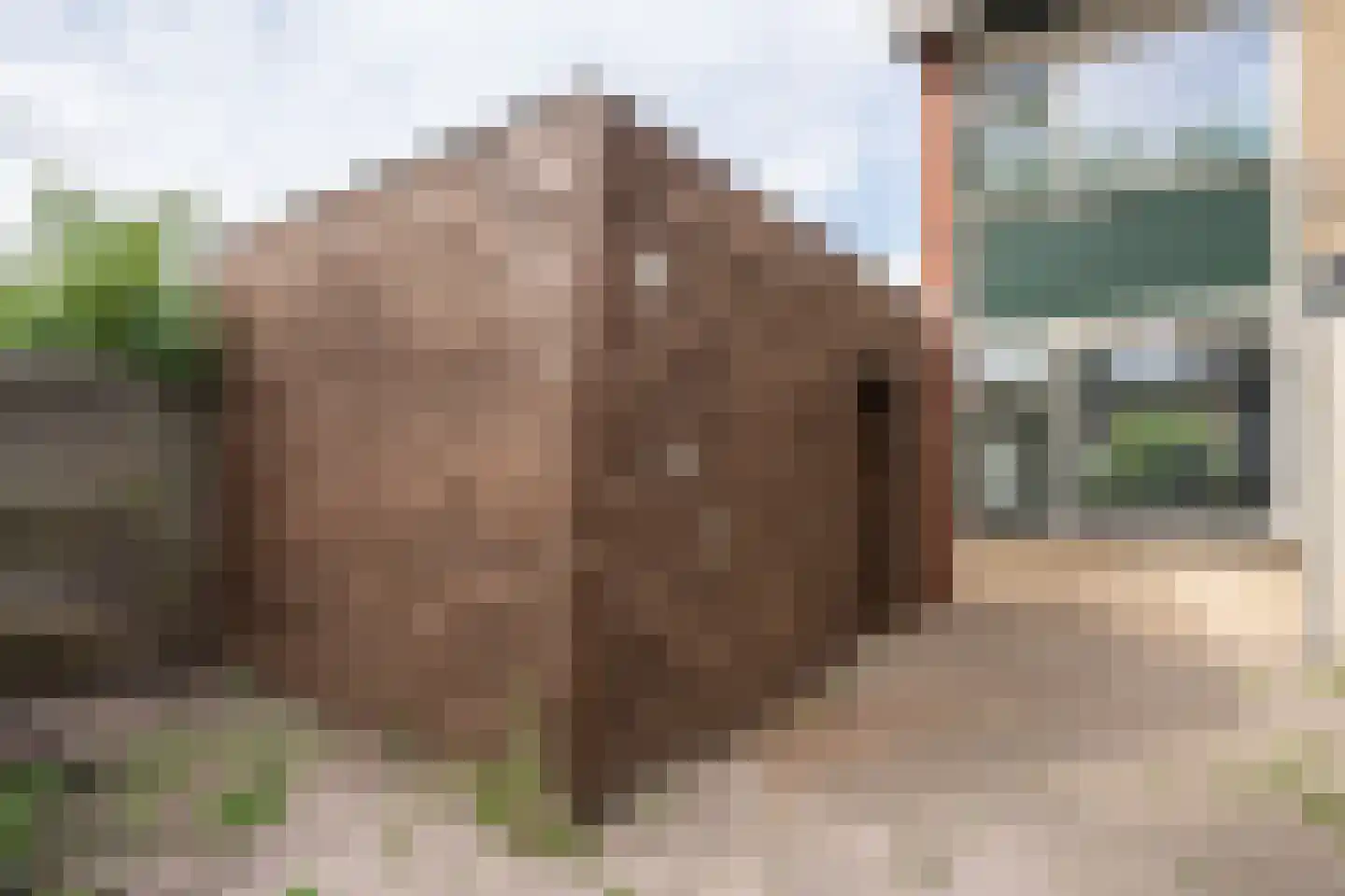 Beatrixlaan 68 Den Burg thumbnail 39