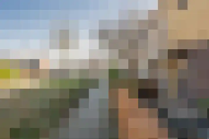 Beatrixlaan 7 Hoevelaken thumbnail 48