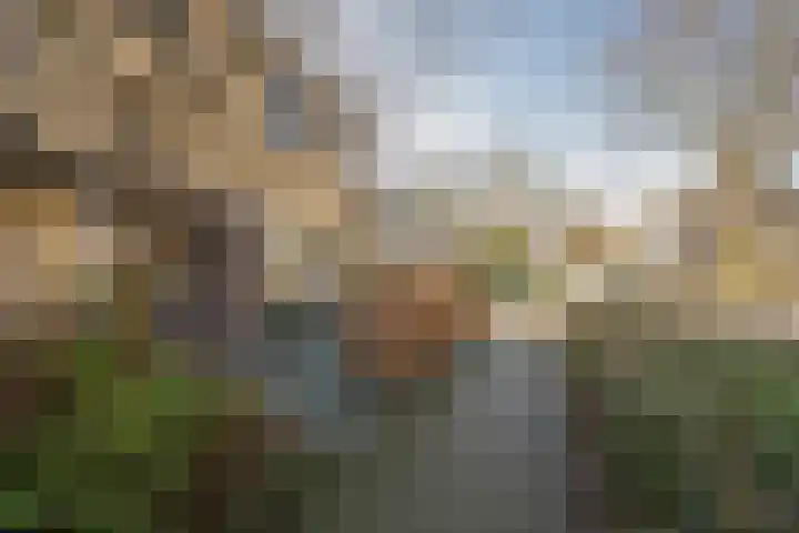 Beatrixlaan 7 Hoevelaken thumbnail 49