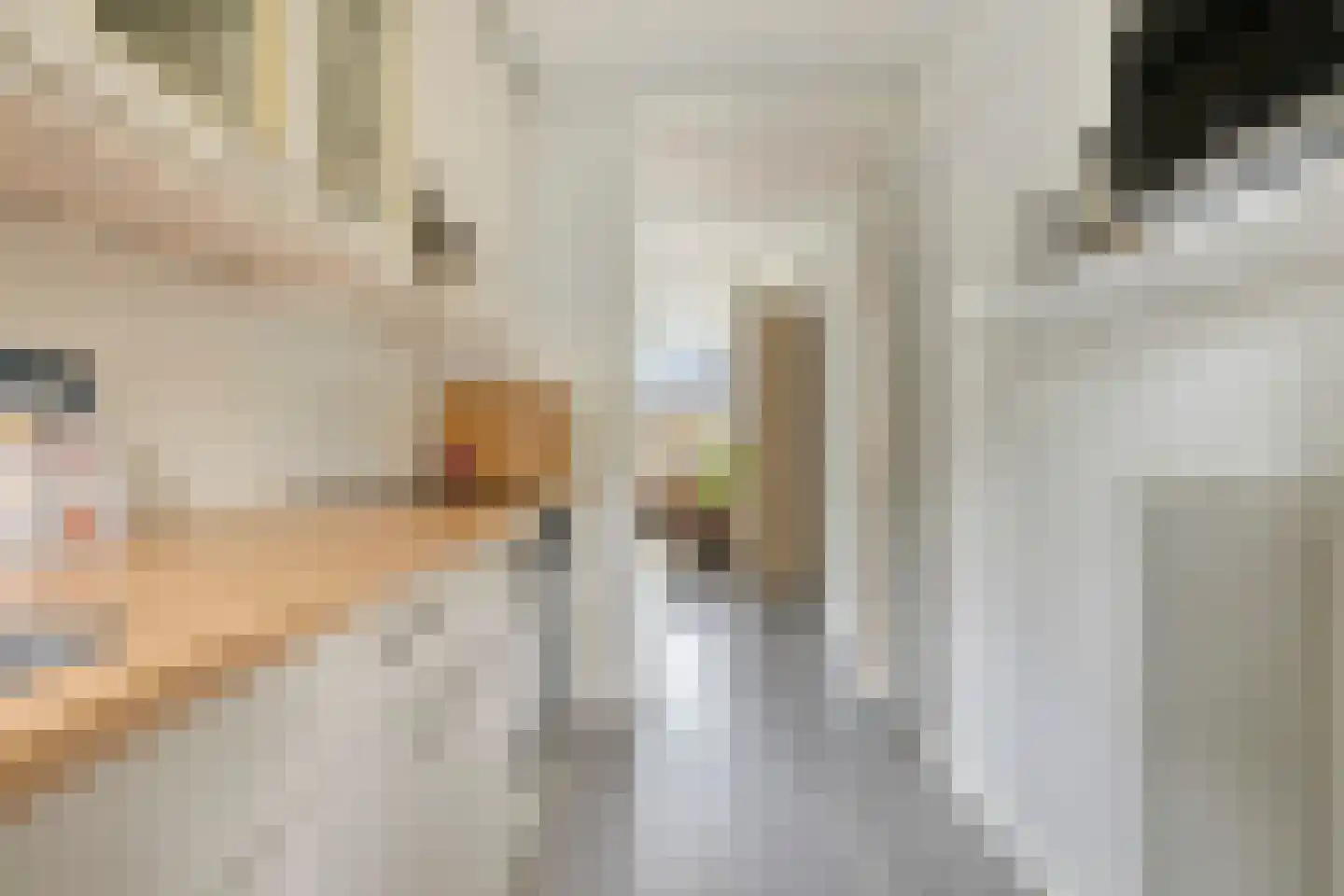 Beatrixlaan 74 Helmond thumbnail 23