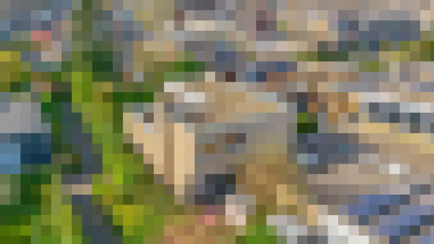 Beatrixlaan 79 Moerkapelle