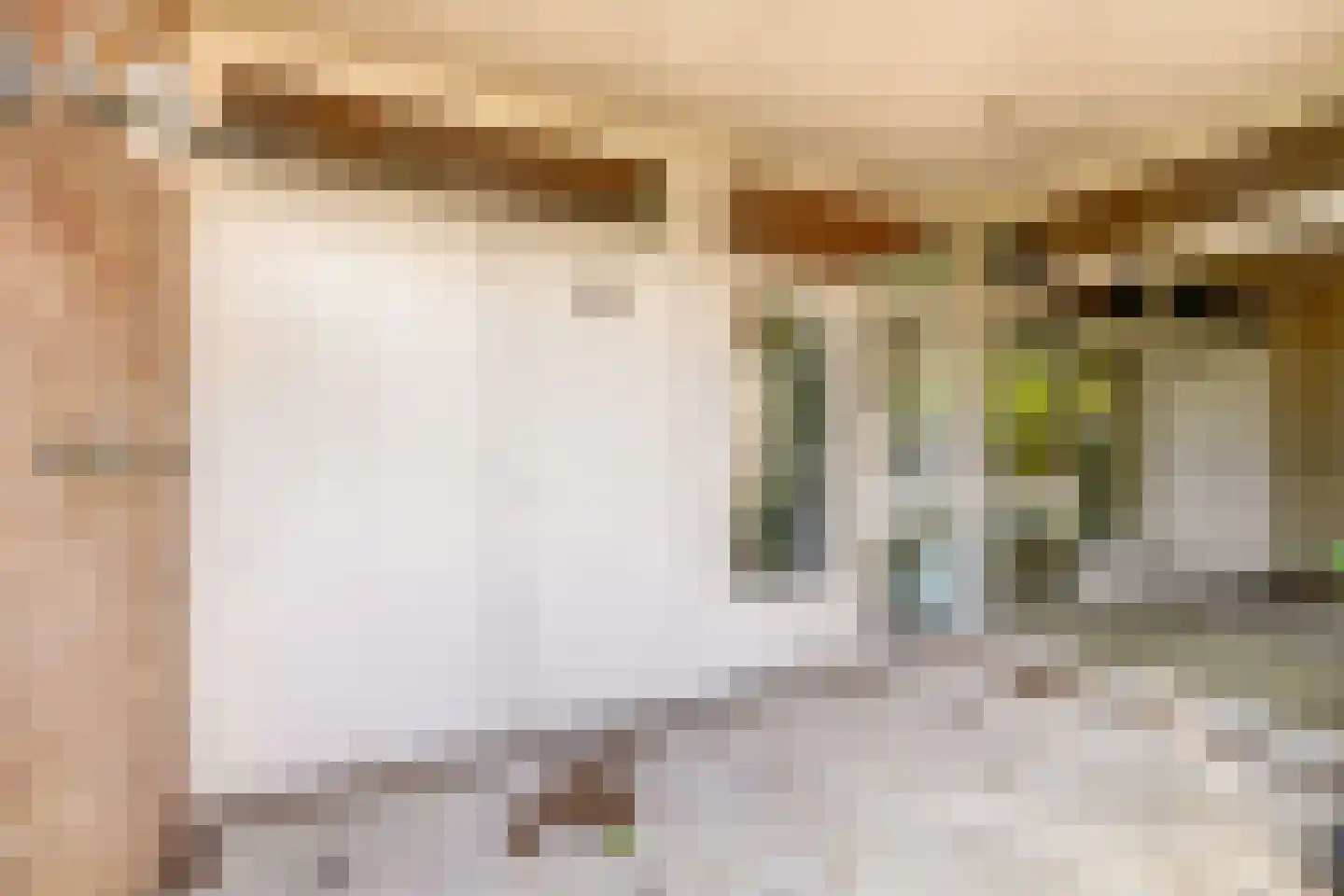 Beatrixlaan 79 Moerkapelle thumbnail 4