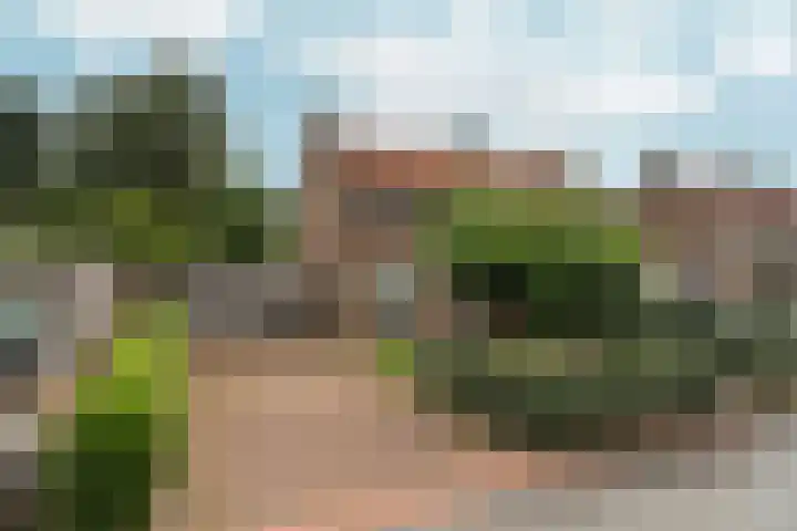 Beatrixlaan 8 A Hummelo thumbnail 47