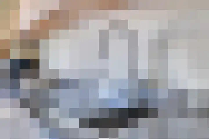 Beatrixlaan 8 Hoevelaken thumbnail 16