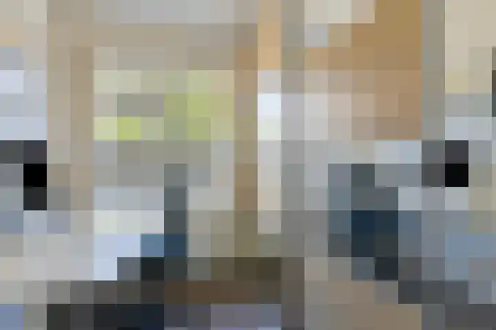 Beatrixlaan 8 Hoevelaken thumbnail 24