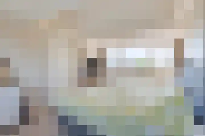 Beatrixlaan 8 Hoevelaken thumbnail 27