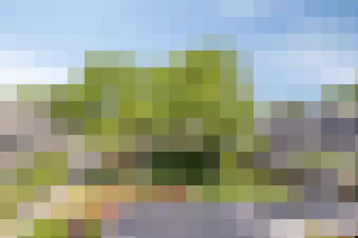 Beatrixlaan 8 Hoevelaken thumbnail 30