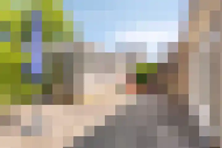Beatrixlaan 8 Hoevelaken thumbnail 31