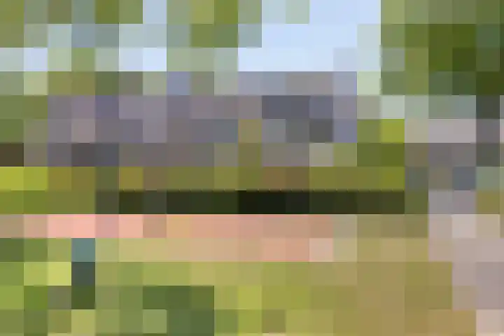 Beatrixlaan 8 Hoevelaken thumbnail 36