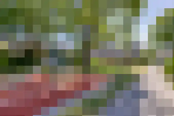 Beatrixlaan 8 Hoevelaken thumbnail 37