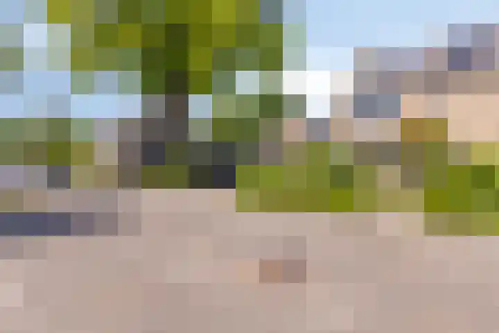 Beatrixlaan 8 Hoevelaken thumbnail 4