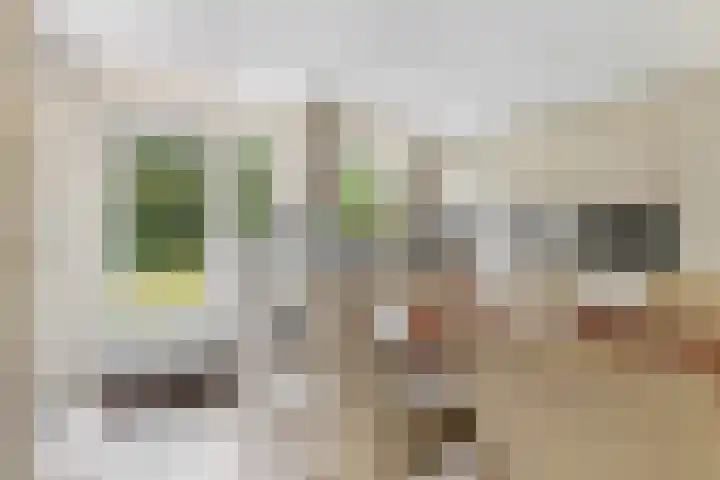 Beatrixlaan 8 Putten thumbnail 22