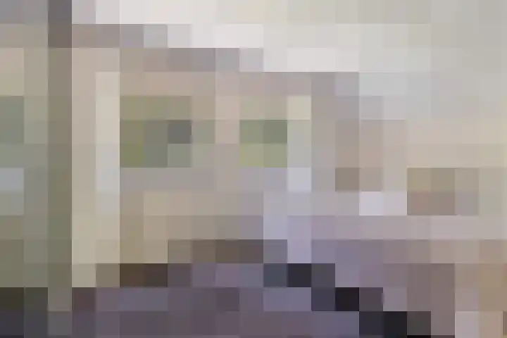 Beatrixlaan 8 Putten thumbnail 32