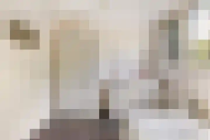 Beatrixlaan 8 Putten thumbnail 37