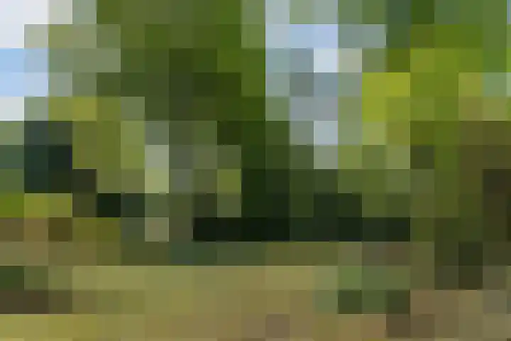 Beatrixlaan 8 Putten thumbnail 47