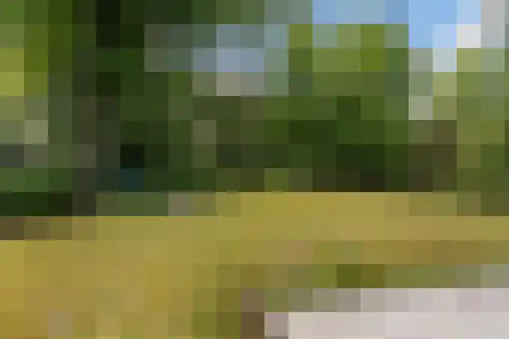 Beatrixlaan 8 Putten thumbnail 49