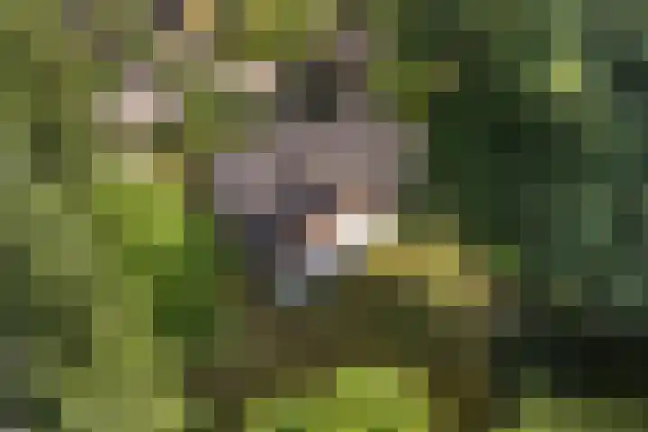 Beatrixlaan 8 Putten thumbnail 5