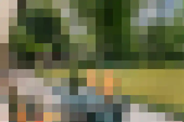 Beatrixlaan 8 Putten thumbnail 50