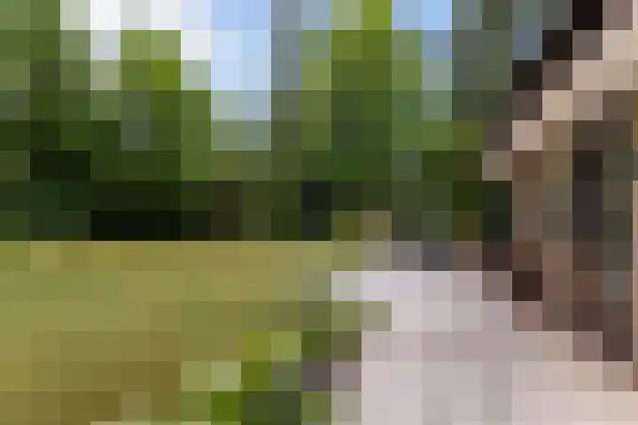 Beatrixlaan 8 Putten thumbnail 52