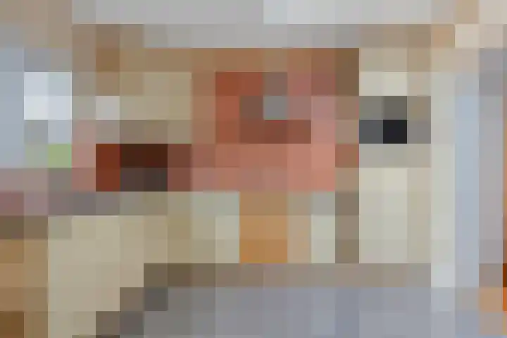 Beatrixlaan 8 Ruurlo thumbnail 16