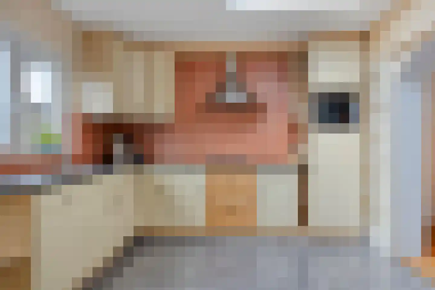 Beatrixlaan 8 Ruurlo thumbnail 18