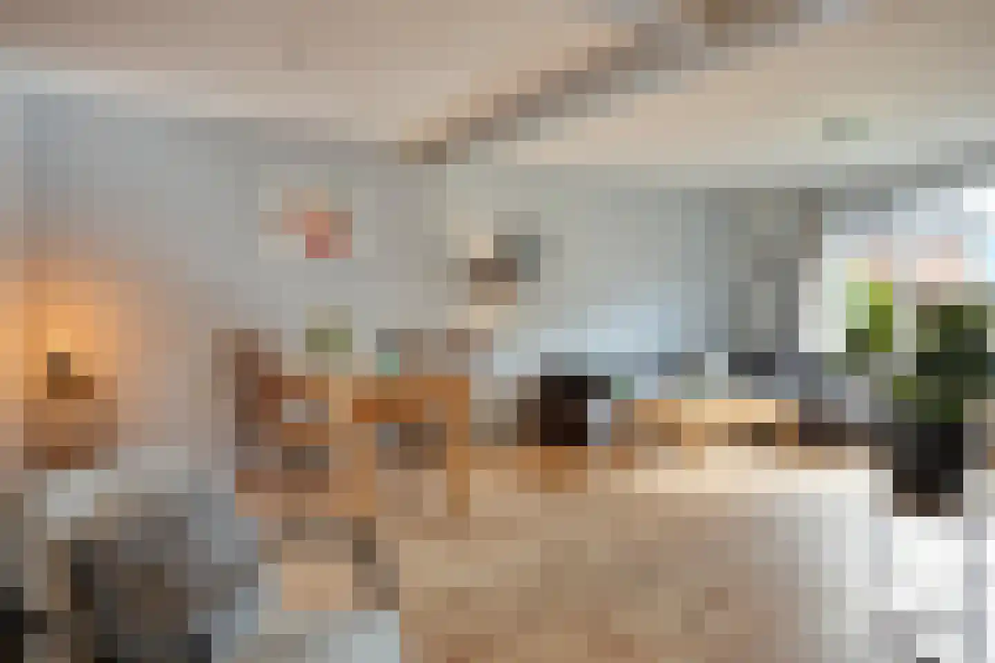 Beatrixlaan 8 Ruurlo thumbnail 6