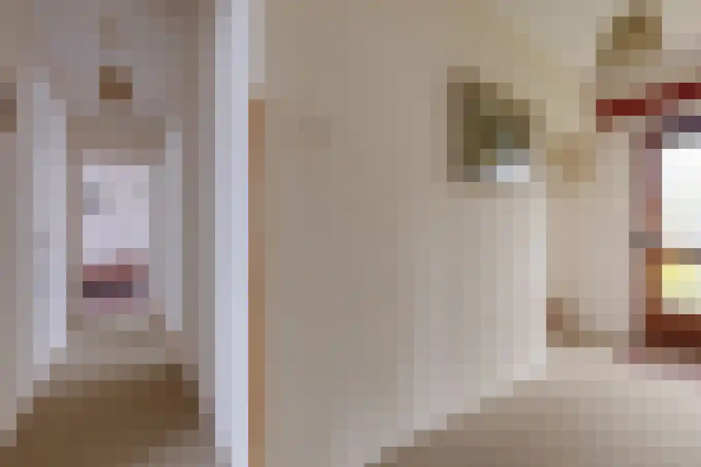 Beatrixlaan 8 Vorden thumbnail 12