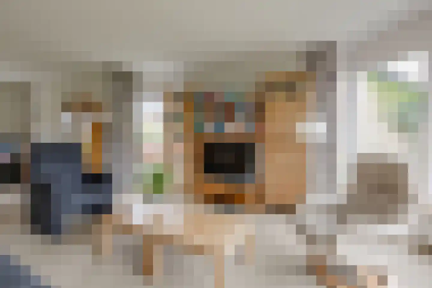 Beatrixlaan 8 Vorden thumbnail 16