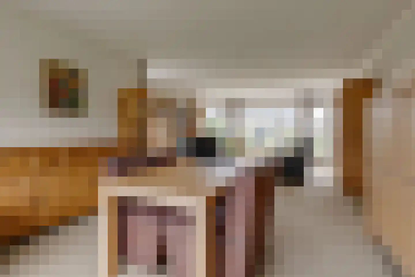 Beatrixlaan 8 Vorden thumbnail 19