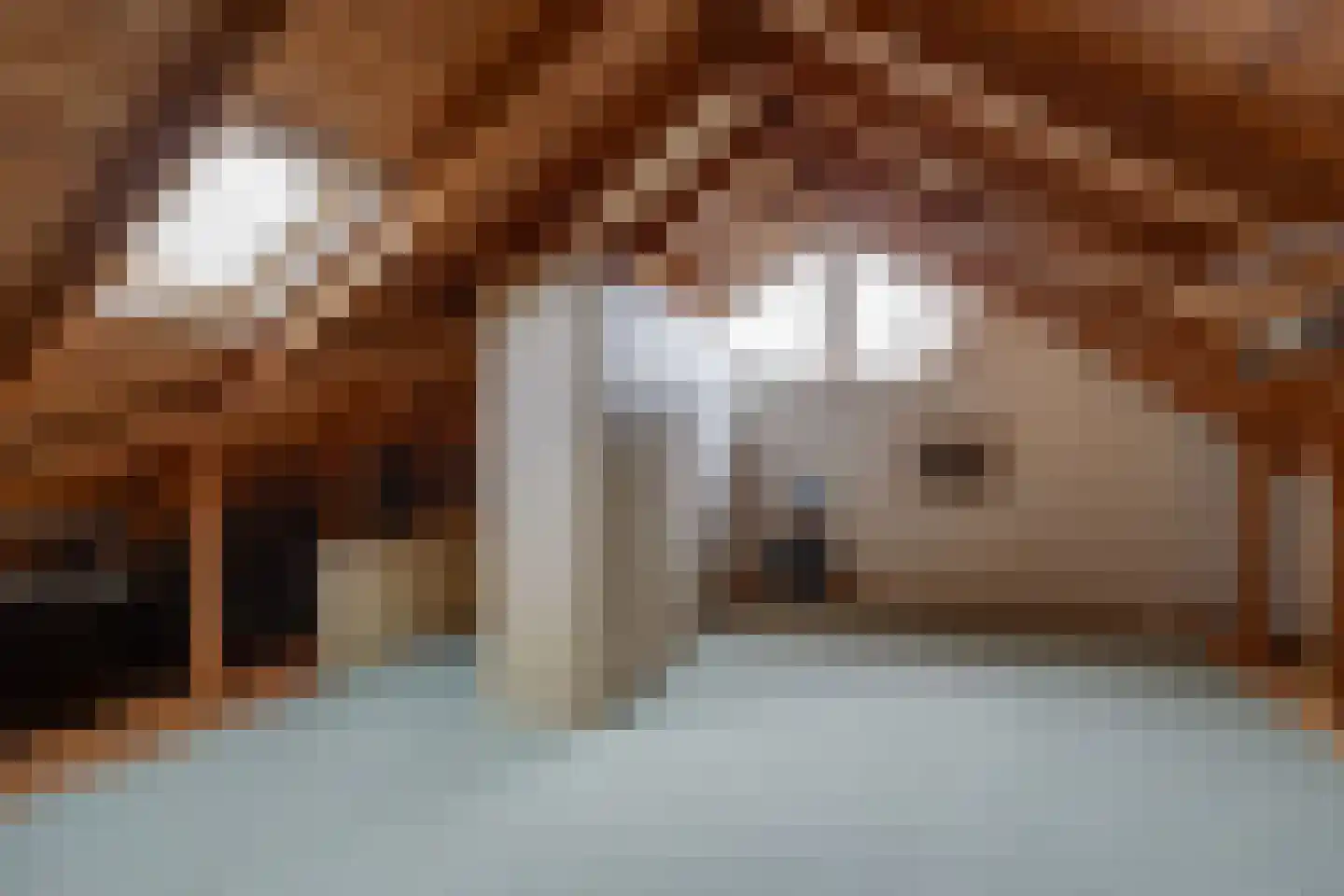 Beatrixlaan 8 Vorden thumbnail 35