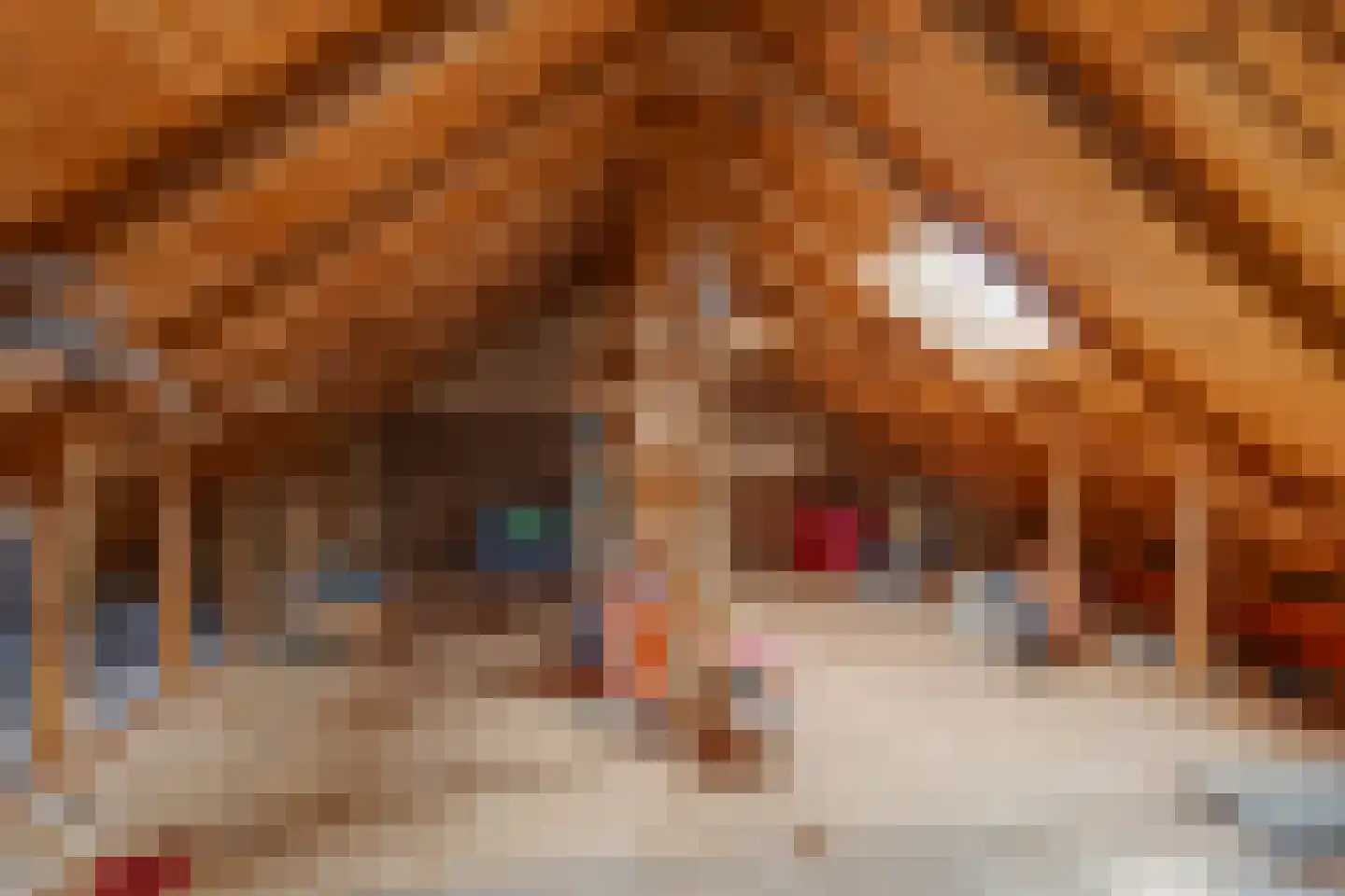 Beatrixlaan 8 Vorden thumbnail 36