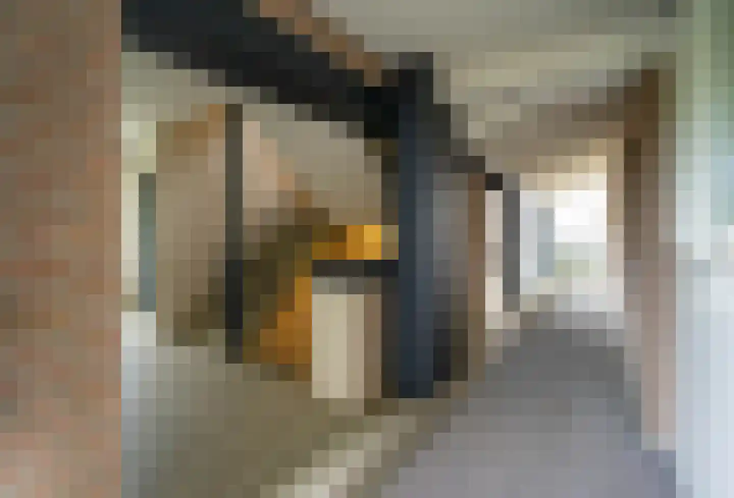 Beatrixlaan 80 Helmond thumbnail 8
