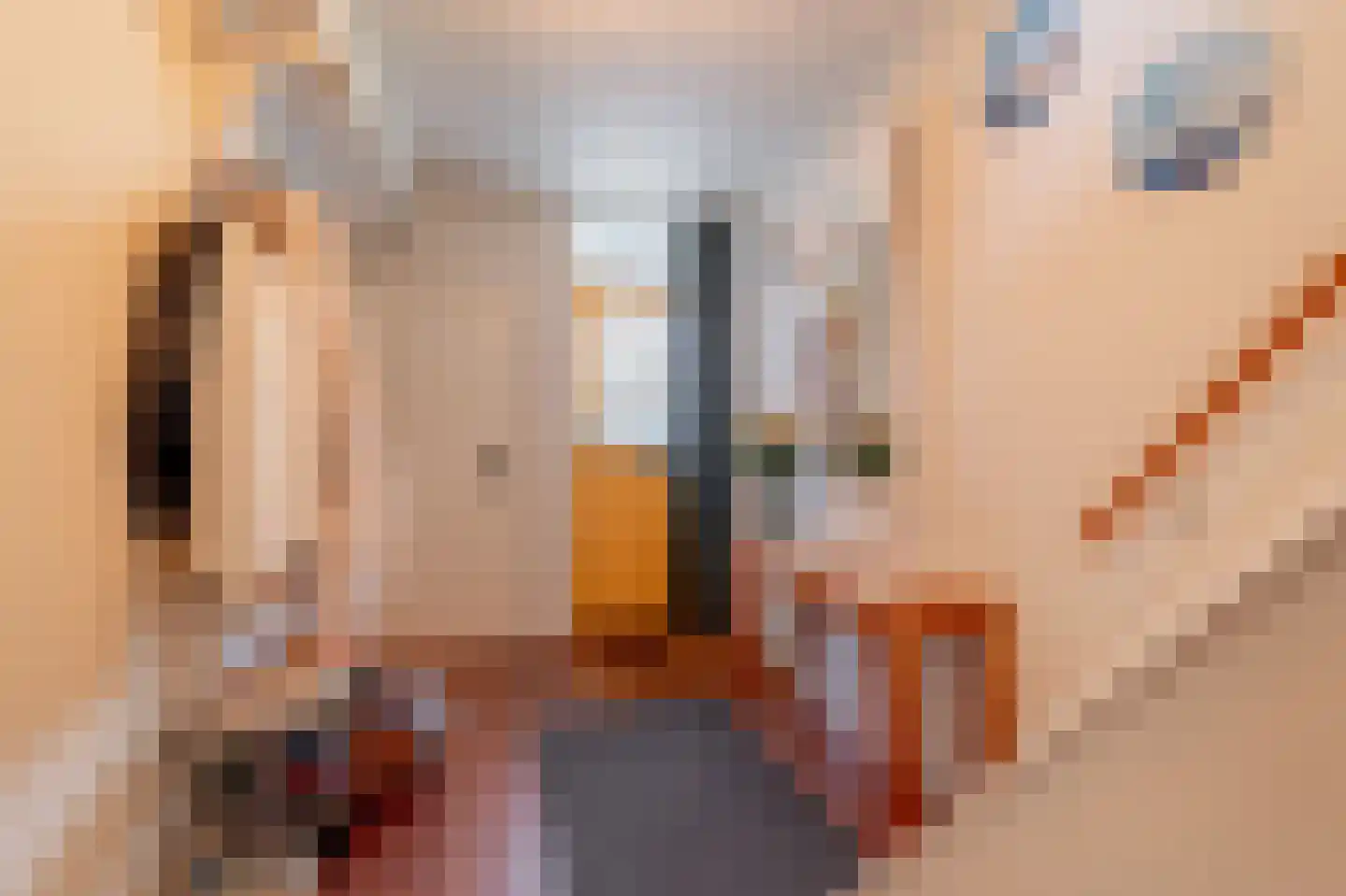 Beatrixlaan 9 Kaag thumbnail 24