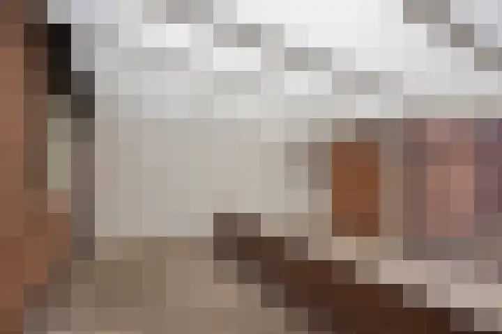 Beatrixlaan 9 Roermond thumbnail 28