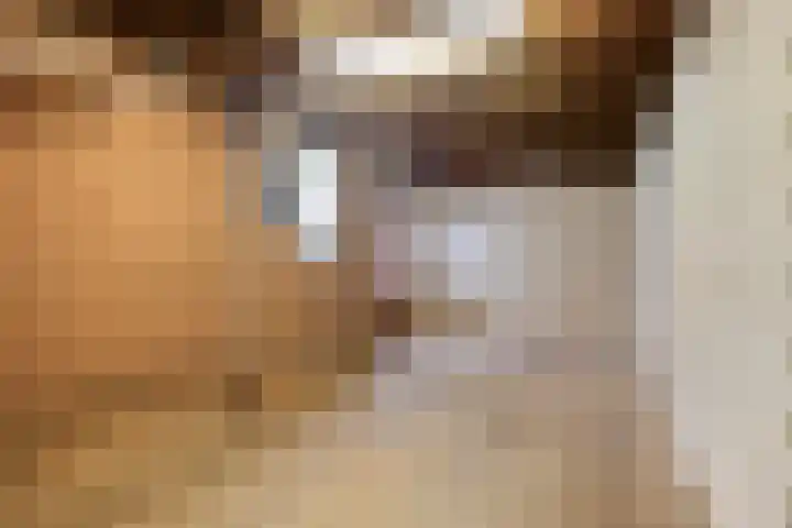 Beatrixlaan 9 Roermond thumbnail 36