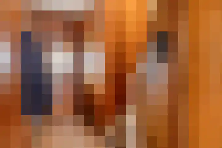 Beatrixlaan 9 Roermond thumbnail 5