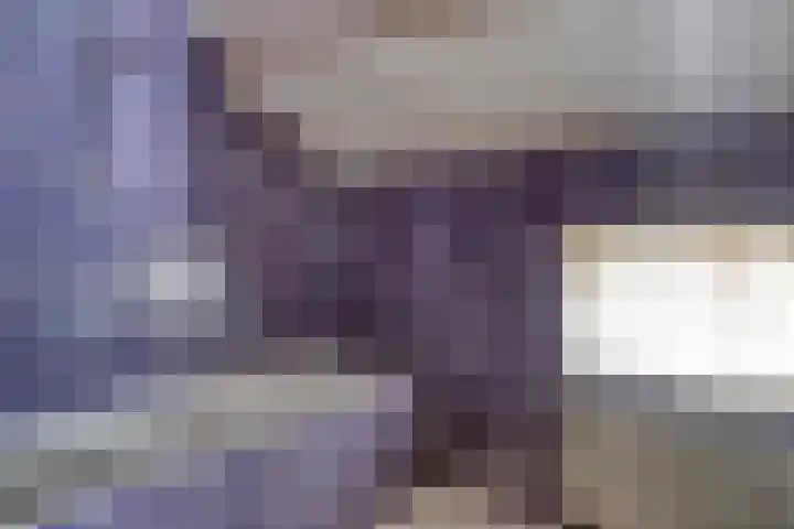 Beatrixlaan 9 Someren thumbnail 30