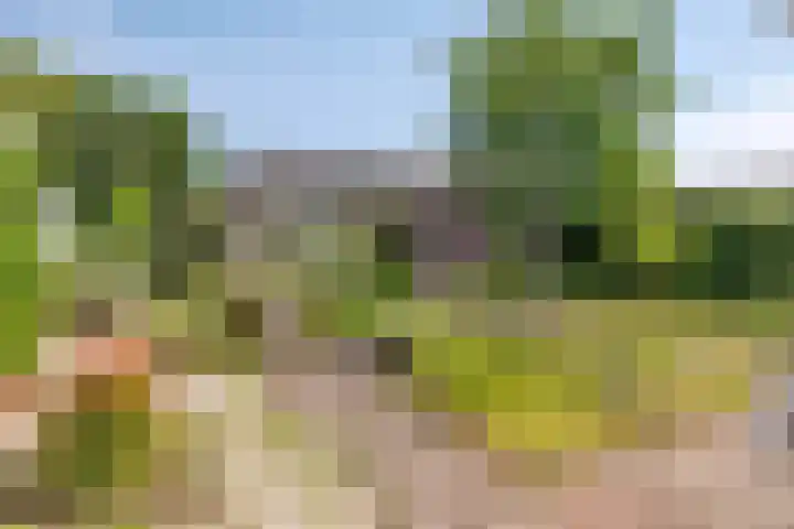 Beatrixlaan 9 Someren thumbnail 4