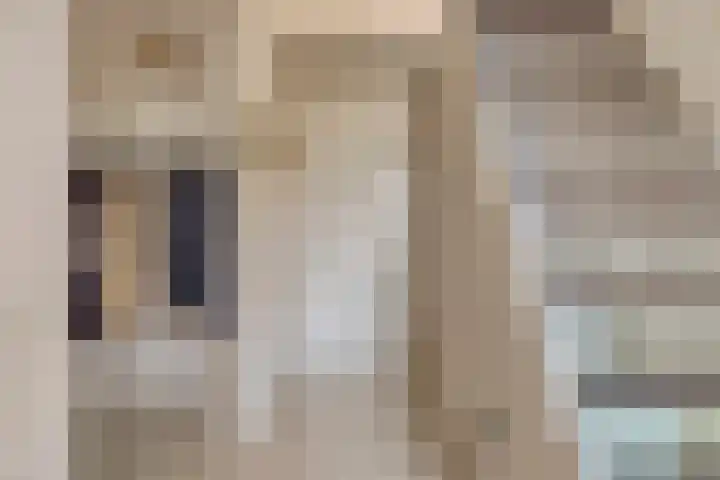Beatrixlaan 9 Someren thumbnail 6