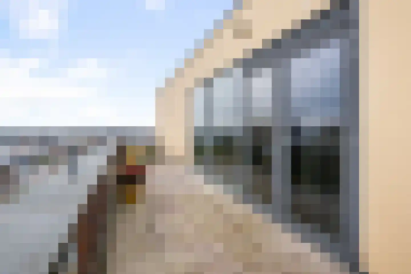 Beatrixlaan 98 Beverwijk thumbnail 35