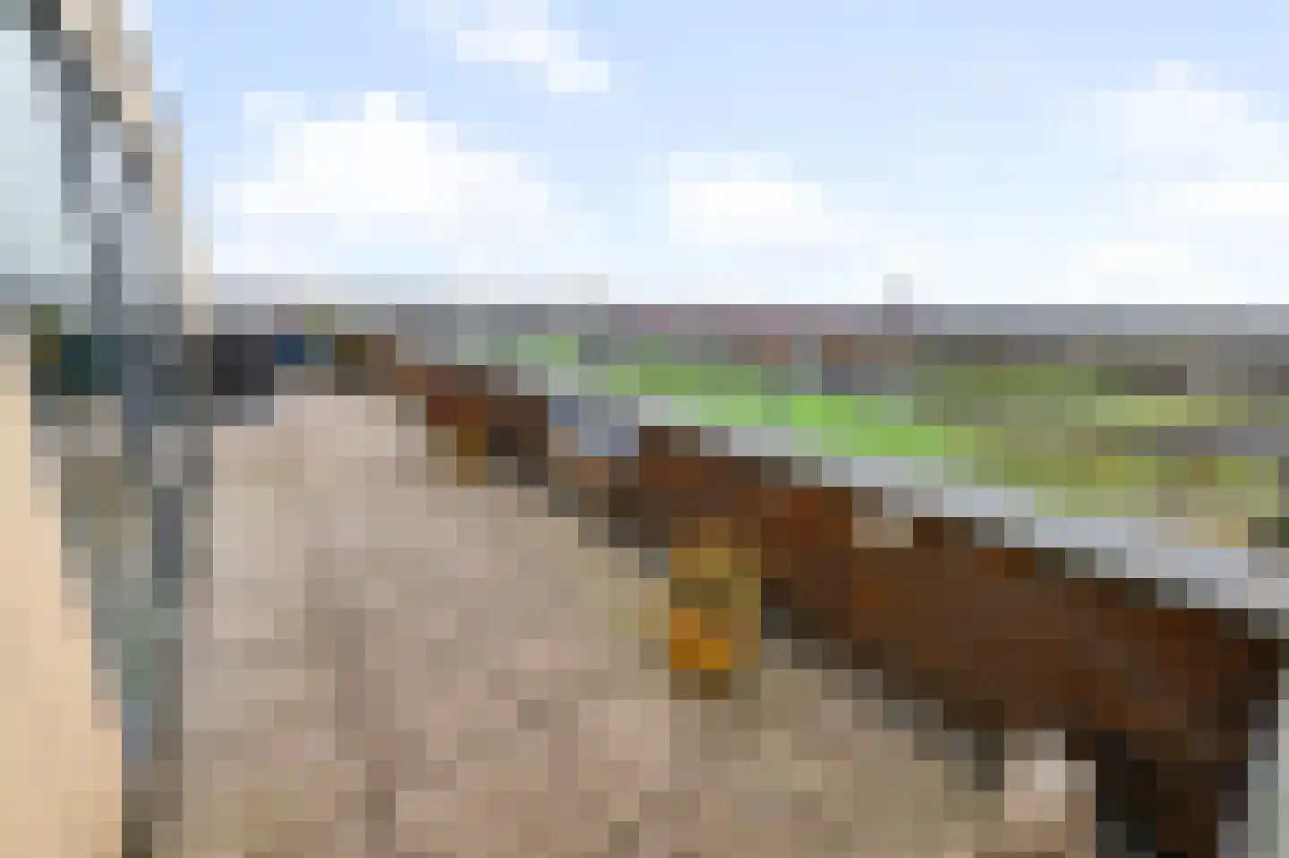 Beatrixlaan 98 Beverwijk thumbnail 37