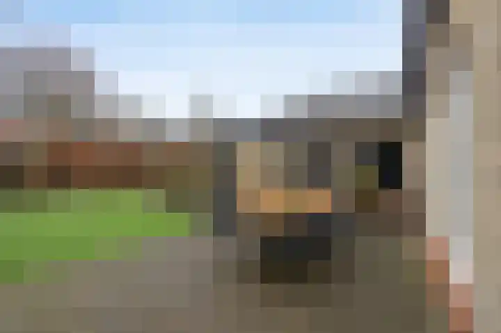 Beatrixpark 33 Etten-Leur thumbnail 36