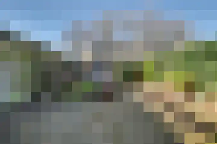 Beatrixpark 33 's-Hertogenbosch thumbnail 25