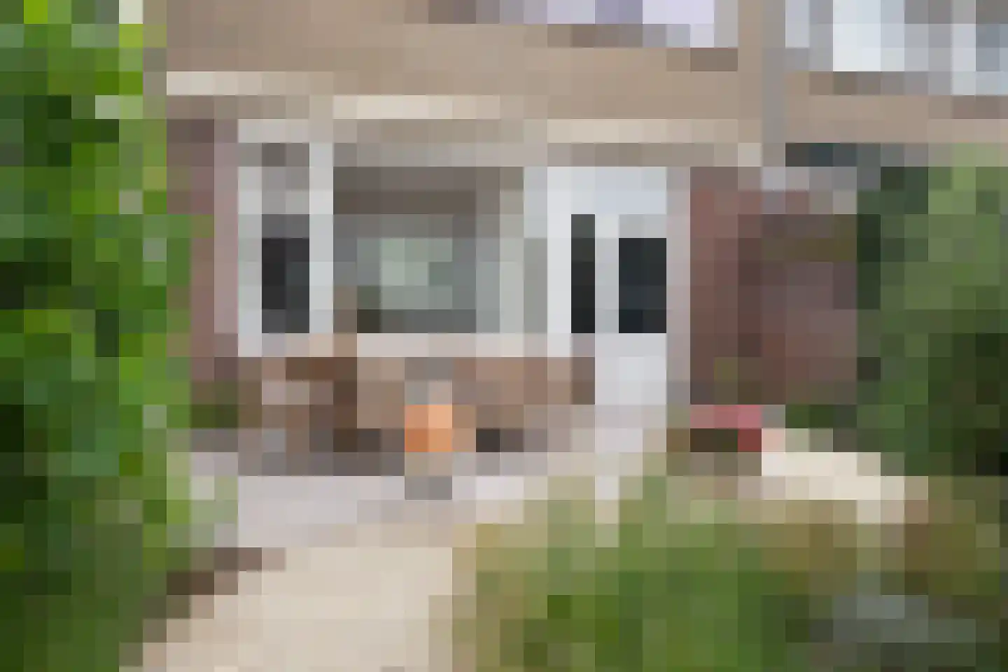 Beatrixpark 81 's-Hertogenbosch thumbnail 20