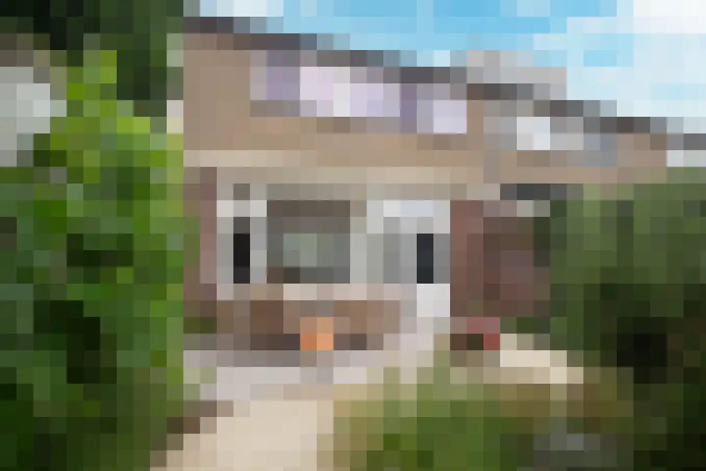 Beatrixpark 81 's-Hertogenbosch thumbnail 23