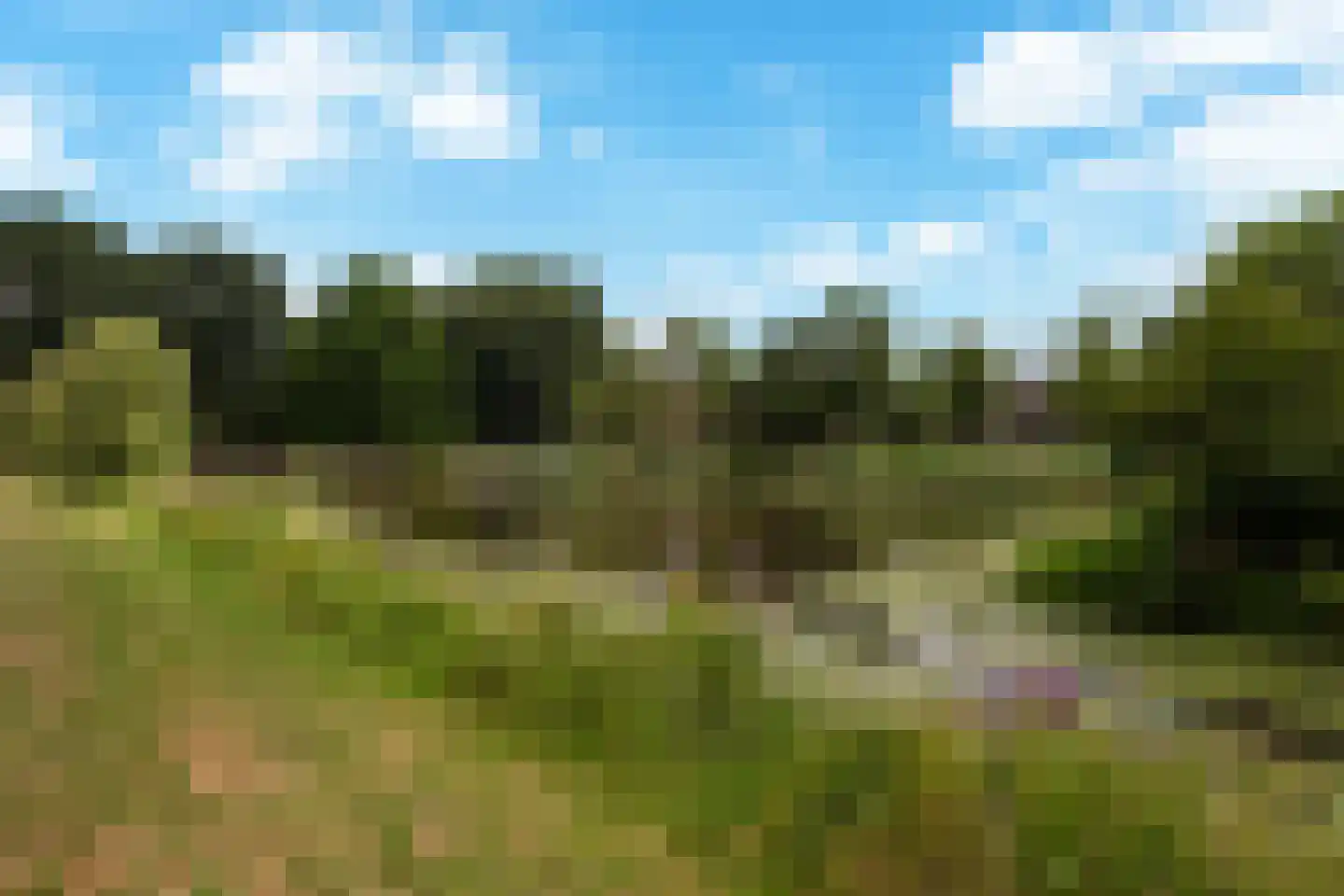 Beatrixpark 81 's-Hertogenbosch thumbnail 37