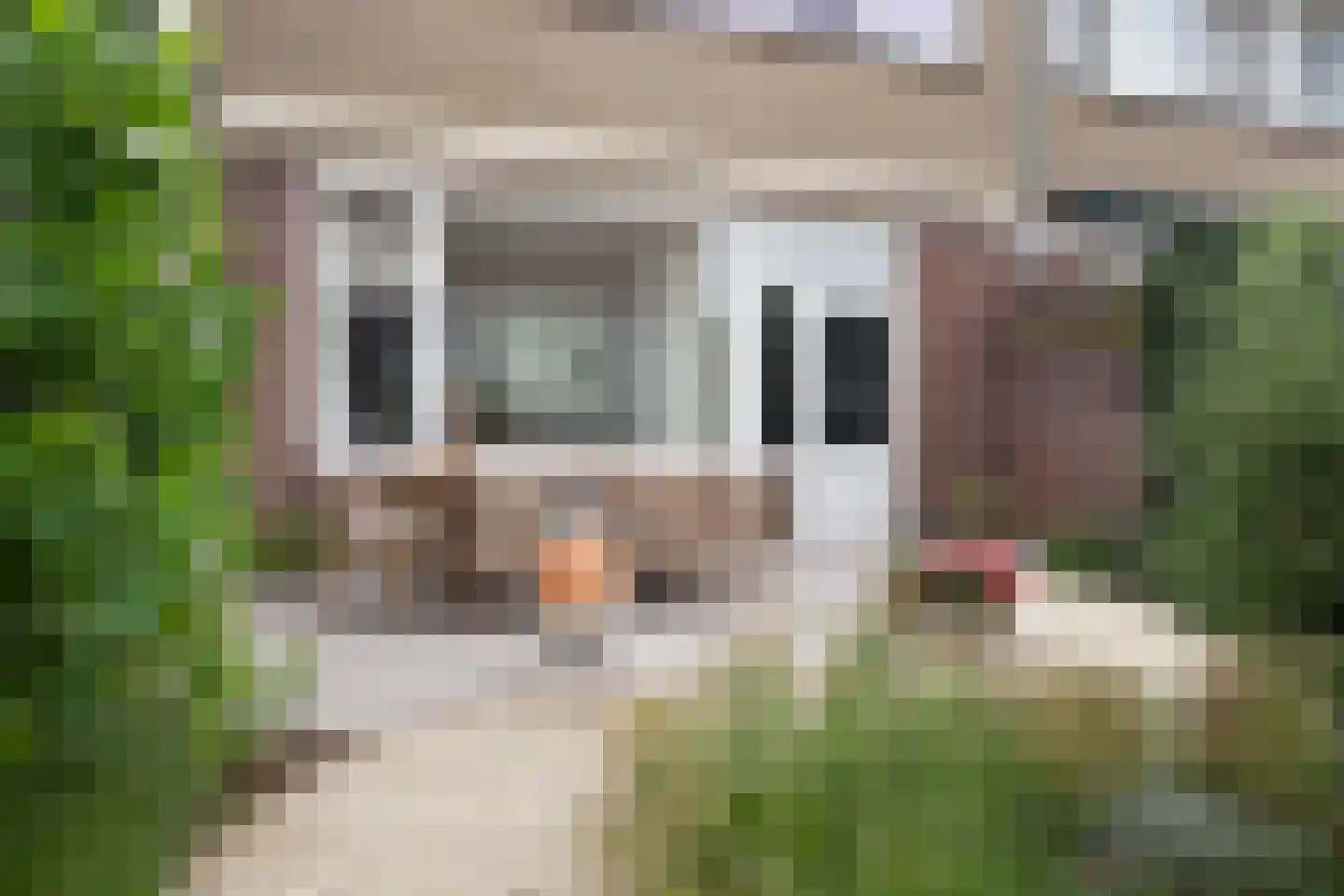 Beatrixpark 81 's-Hertogenbosch thumbnail 4